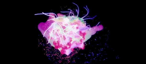 lone-galaxy-garden